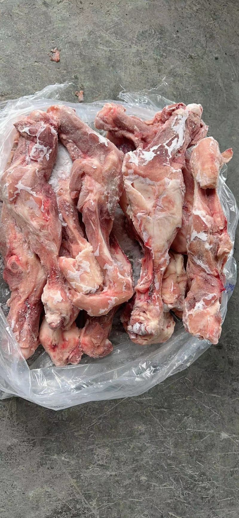 带腱前后腿骨