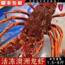 活冻澳洲龙虾澳冰鲜新鲜速冻一斤270，一只3斤起