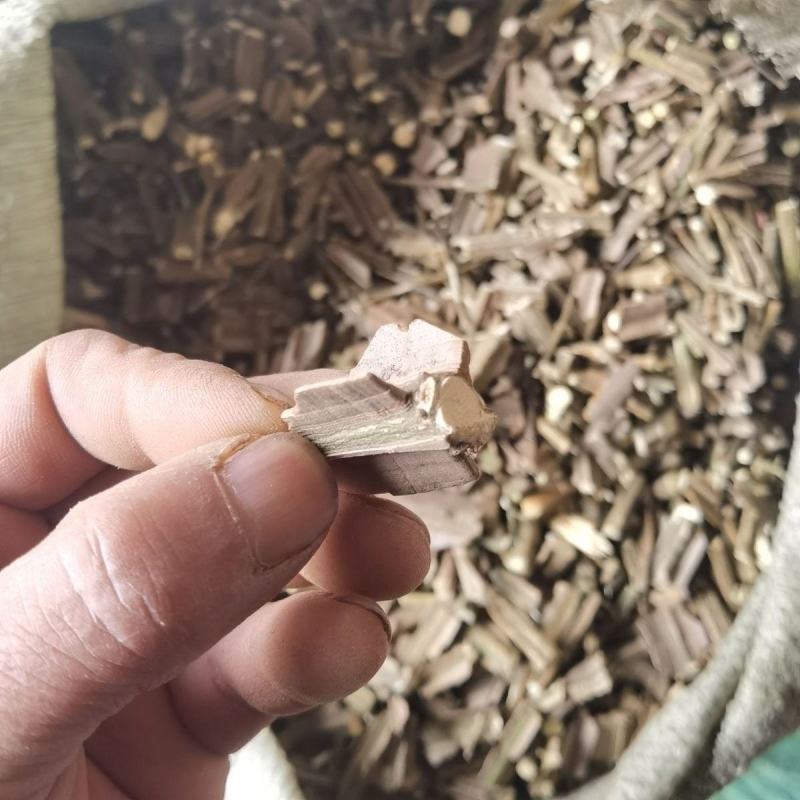 新鲜野生中药材卫矛鬼箭羽杆鬼见羽卫矛包邮正品
