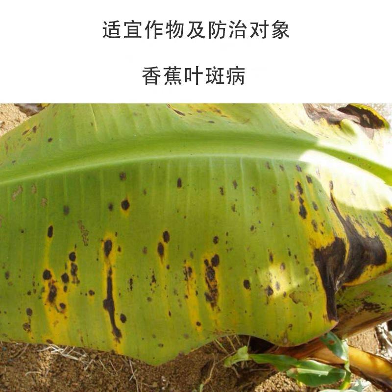 植物龙非常绿50%丙环.咪鲜胺香蕉玉米叶斑病控旺压药
