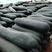 广西黑皮冬瓜大量供应，品质保证，产地发货，批发量大优惠