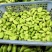江苏蚕豆大量供应现货量大价格便宜可全国代发