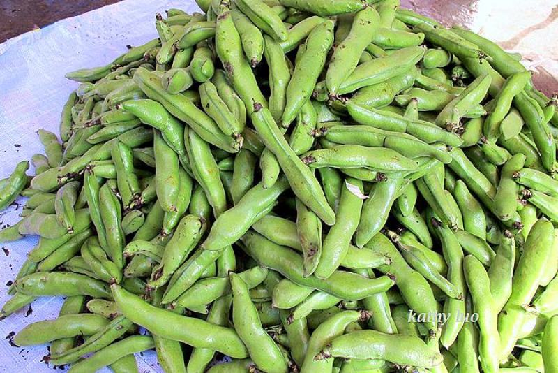 江苏蚕豆大量供应现货量大价格便宜可全国代发