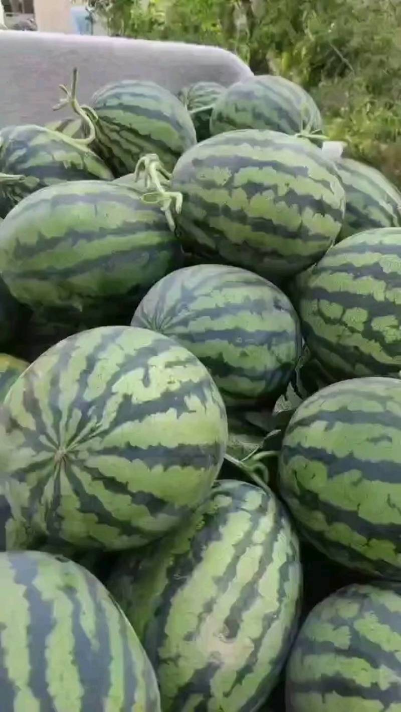 畅销湖北麒麟瓜美都西瓜8424无籽西瓜电商社团支持整车发