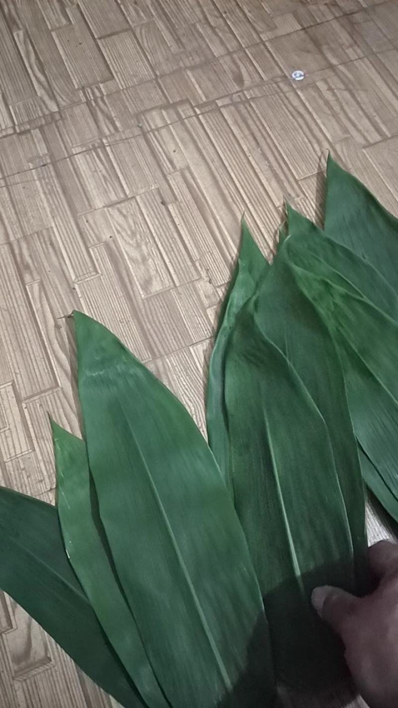 2023年5月20以大量出货