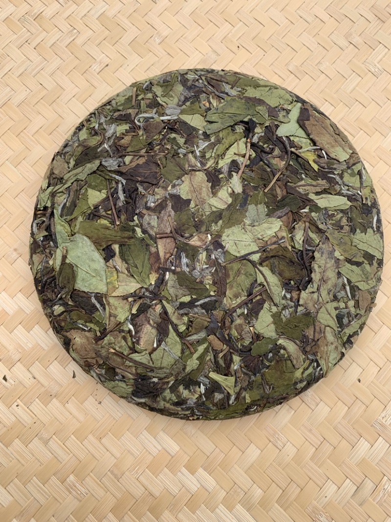 白牡丹