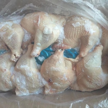 种鸡边腿大量有货