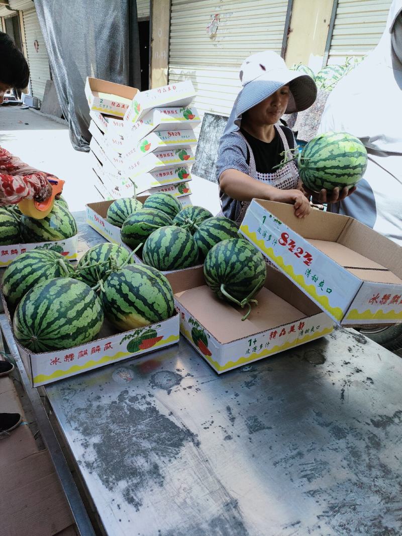 精品无籽美都，大量供货，8斤打底口感甜质量好