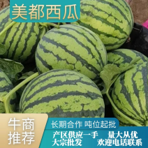 美都西瓜自家种植，无中间商，大量供应，欢迎采购