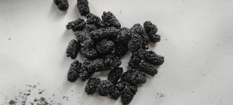 新桑葚干无沙水洗足干高糖份药材电商市场工厂专用送货上门