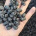新桑葚干无沙水洗足干高糖份药材电商市场工厂专用送货上门