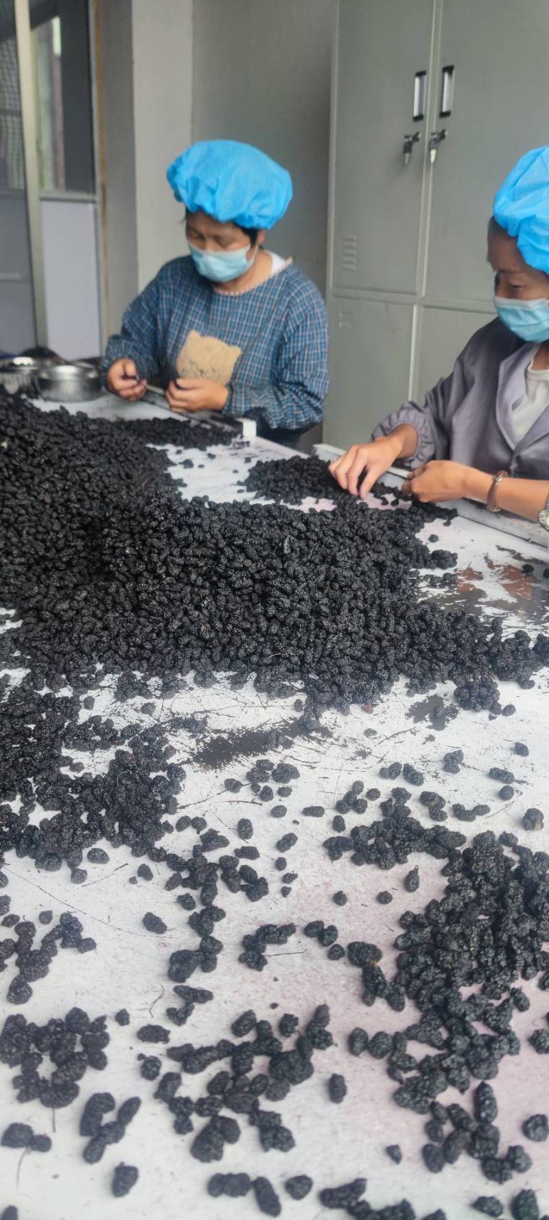 新桑葚干无沙水洗足干高糖份药材电商市场工厂专用送货上门