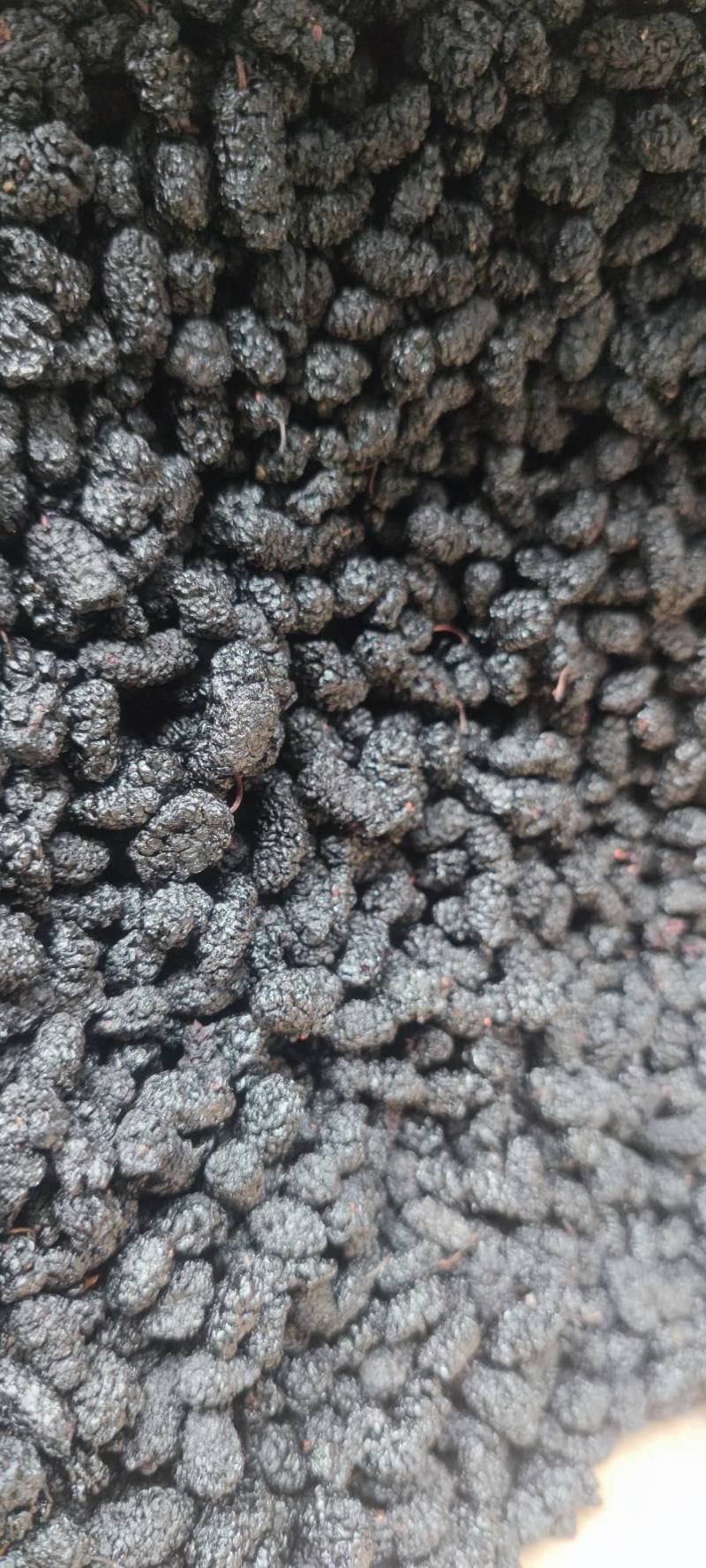 新桑葚干无沙水洗足干高糖份药材电商市场工厂专用送货上门