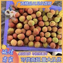 广西灵山三月红荔枝，量大从优位置优越，全国发价格实惠