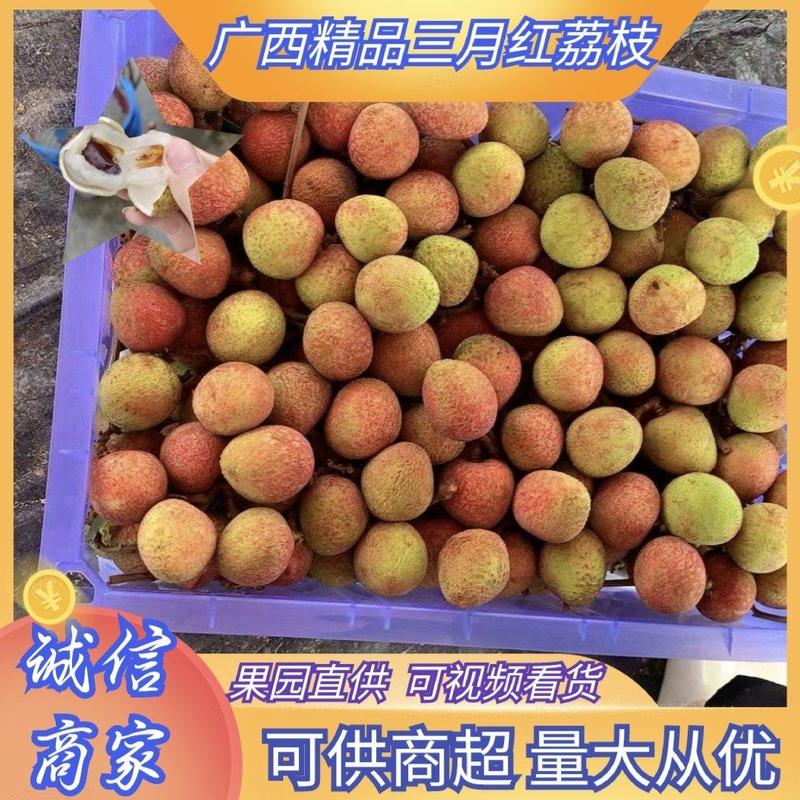 广西灵山三月红荔枝，量大从优位置优越，全国发价格实惠