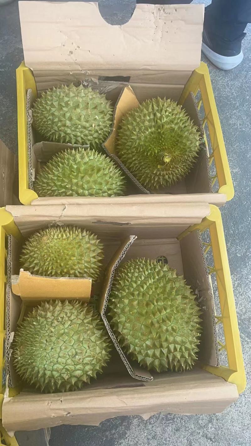 榴莲