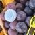精品藤稔🍇乒乓球🏓️大颗粒，大果肉饱满，口感佳
