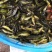 黄骨鱼苗