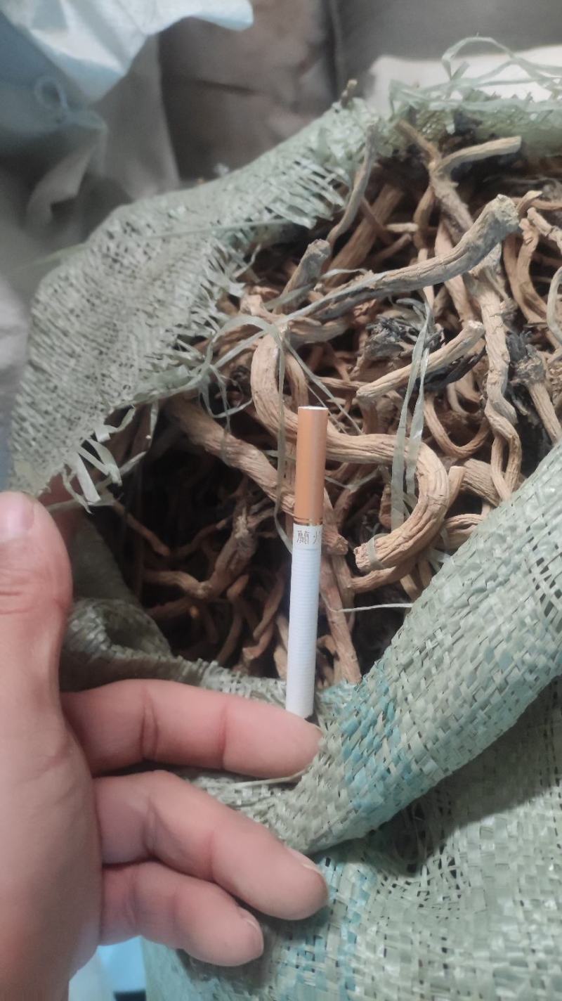 【推荐】板兰根籽出售，量大价优，欢迎进店联系