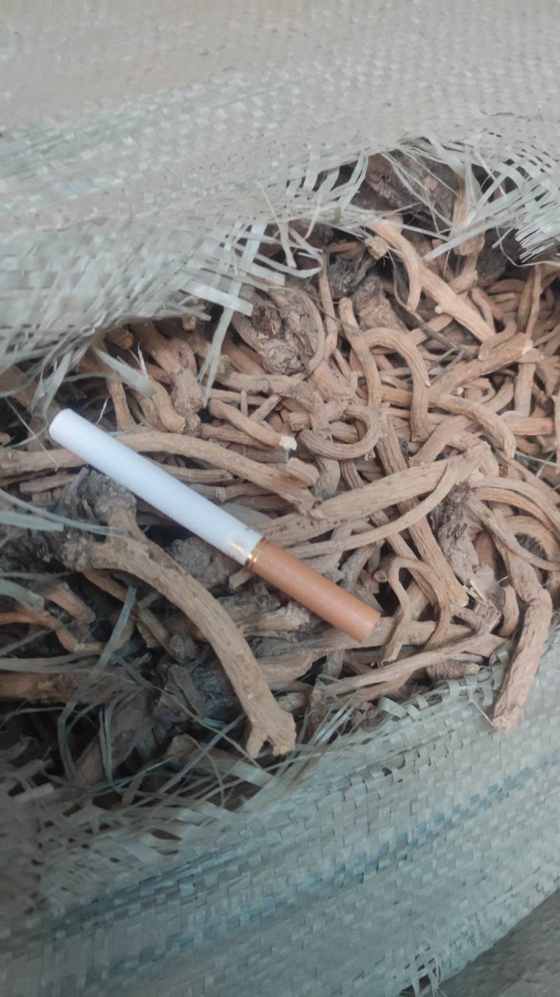 【推荐】板兰根籽出售，量大价优，欢迎进店联系