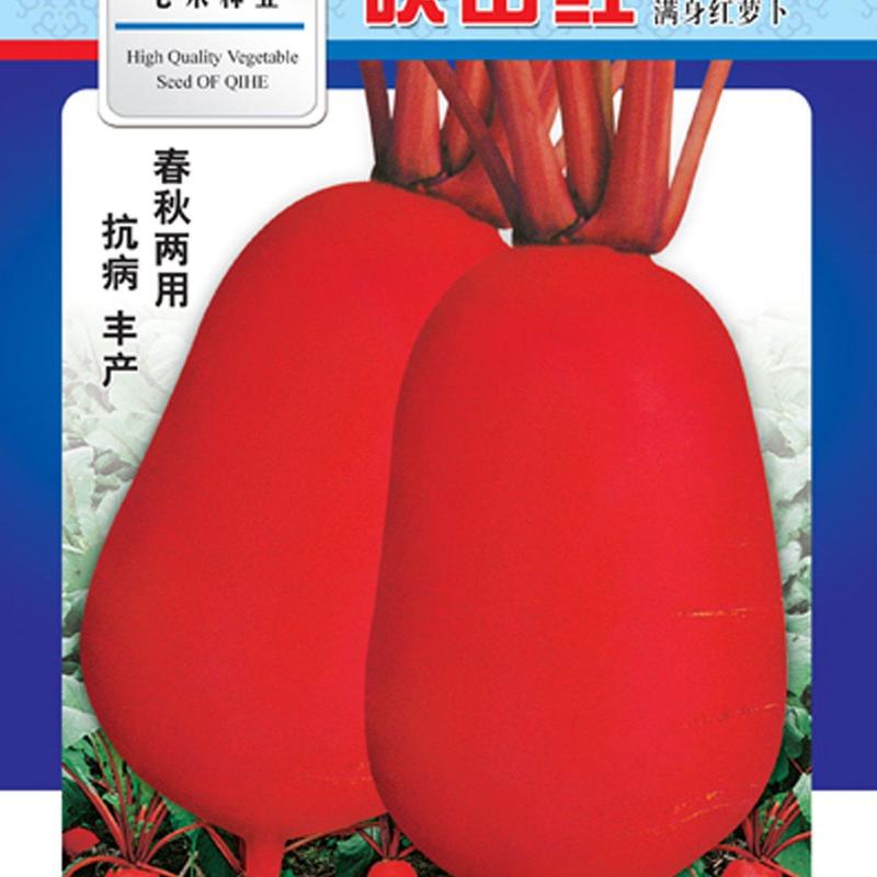 七禾四川满身红/映山红水果萝卜种子红皮白心/庭院阳台