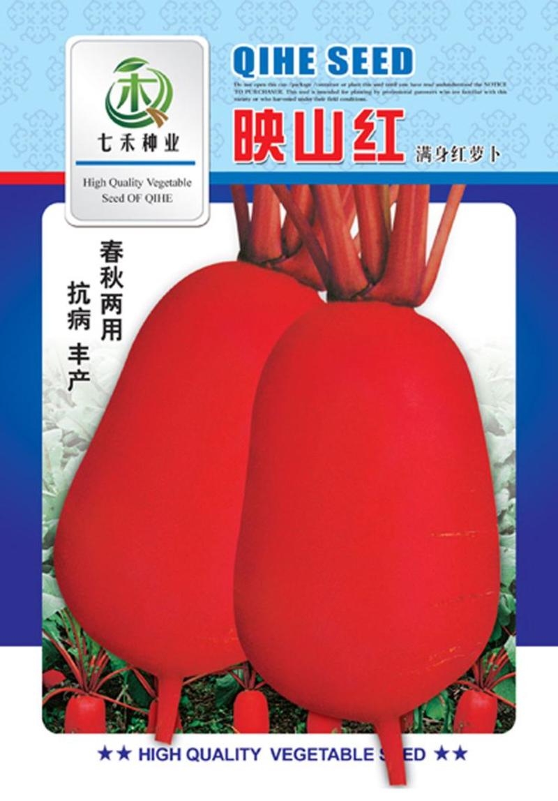 七禾四川满身红/映山红水果萝卜种子红皮白心/庭院阳台