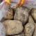 精品土豆内蒙古土豆货源充足量大从优质量保证欢迎咨询