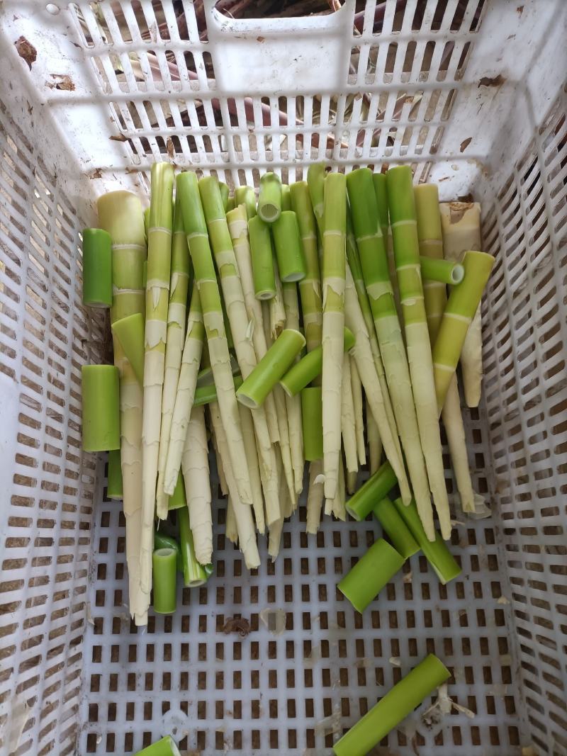 纯野生小笋野笋干
