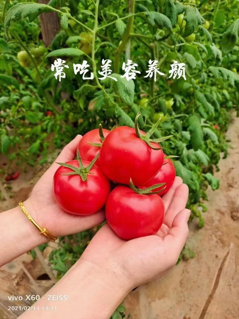 普罗旺斯西红柿