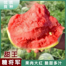 精品甜王，大量上市欢迎各位老板前来选购，