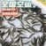 大口黑鲈鱼苗