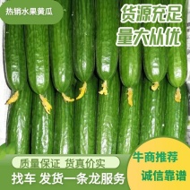 【精品水果小黄瓜】新鲜口感清新可视频看货产地直供