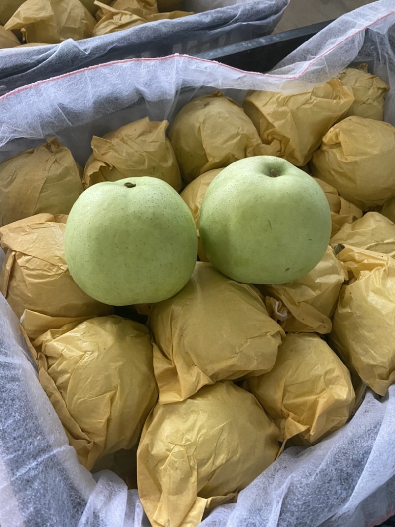 绿宝石梨，白宝石梨专业代收代发，可一件代发