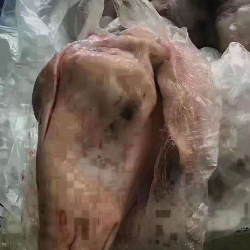 带皮羊头