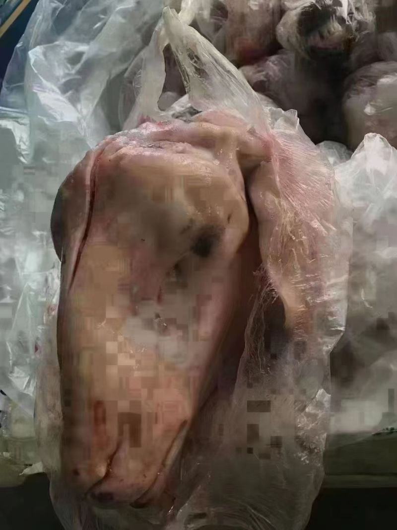 带皮羊头