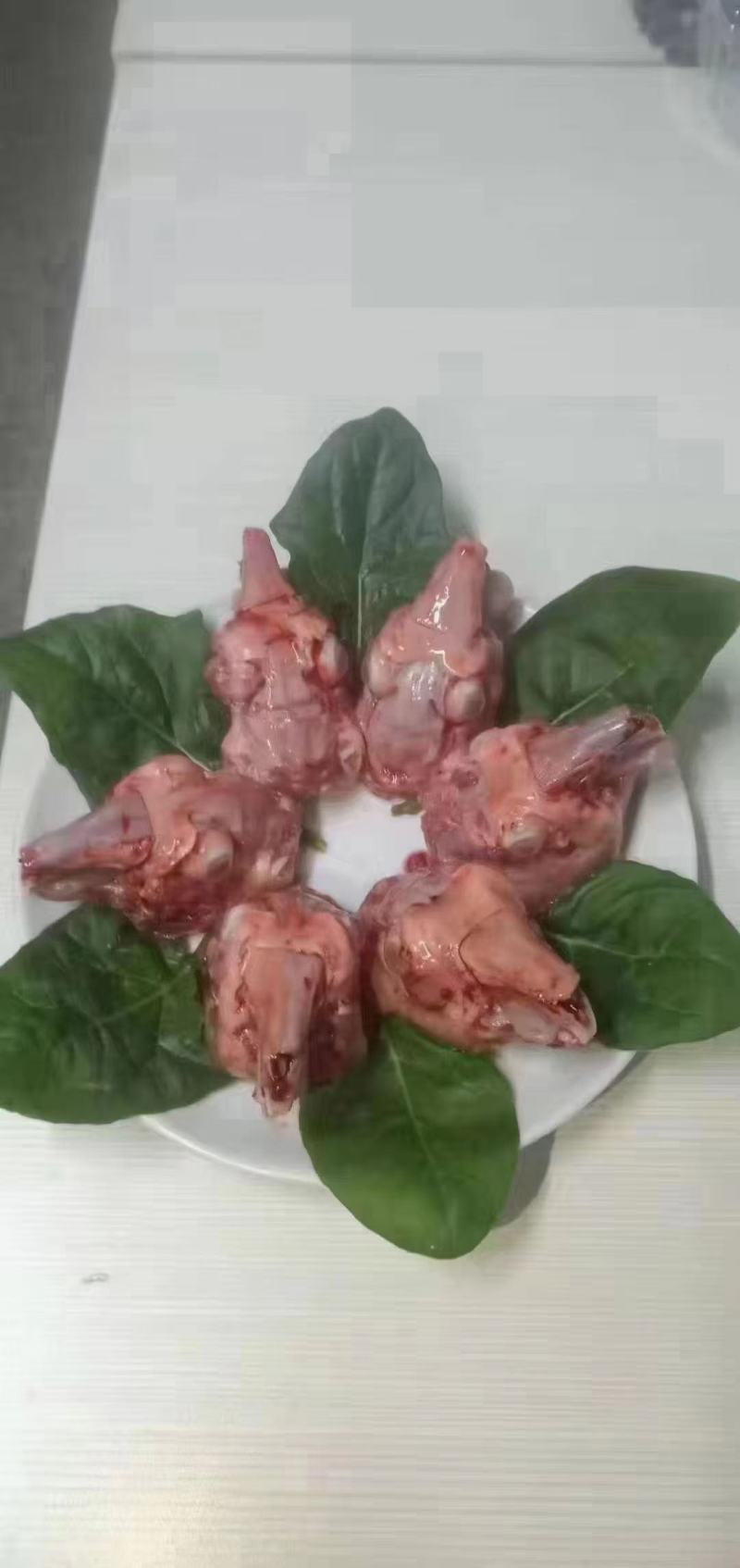兔头