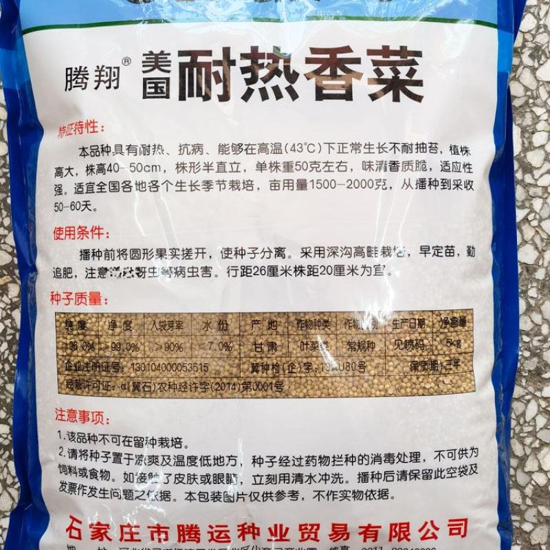 美国耐热香菜种子铁杆不抽苔进口香菜芫荽种子原装发货