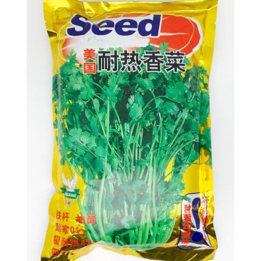 美国耐热香菜种子铁杆不抽苔进口香菜芫荽种子原装发货