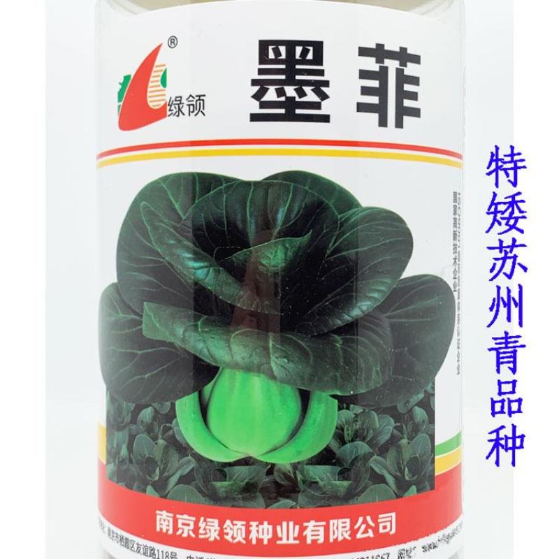 绿领墨菲黑叶矮脚苏州青种子耐寒特矮脚黑菜种秋冬播400克
