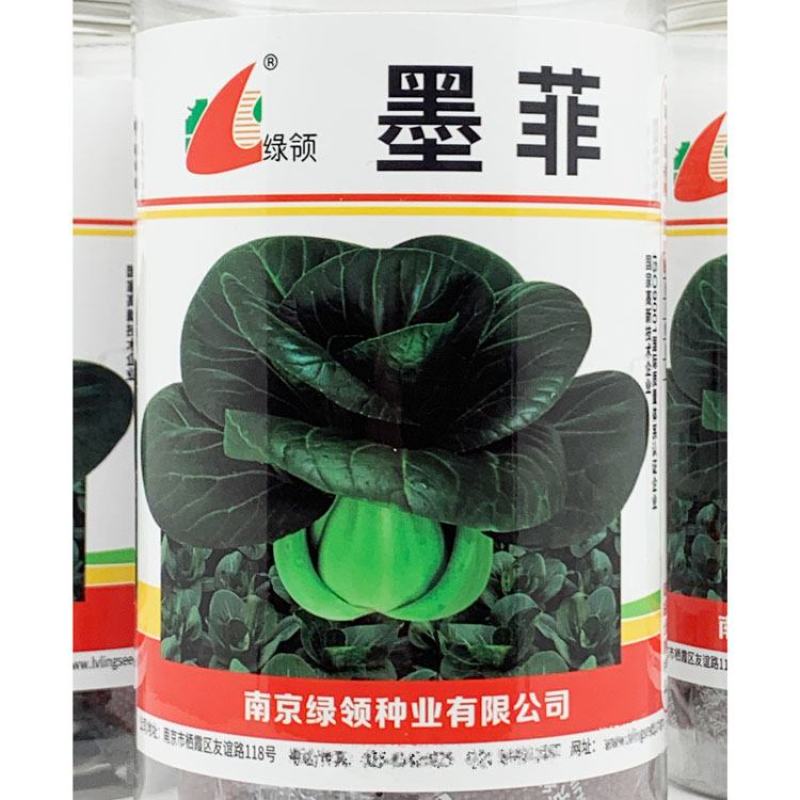 绿领墨菲黑叶矮脚苏州青种子耐寒特矮脚黑菜种秋冬播400克