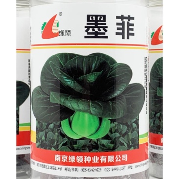 绿领墨菲黑叶矮脚苏州青种子耐寒特矮脚黑菜种秋冬播400克