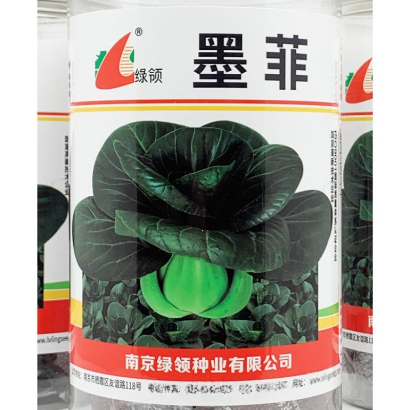绿领墨菲黑叶矮脚苏州青种子耐寒特矮脚黑菜种秋冬播400克