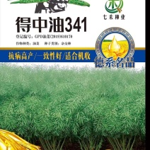 七禾矮杆得中油341杂交油菜种子高产高出油/德系甘蓝型