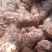 野生新鲜白肉土茯苓