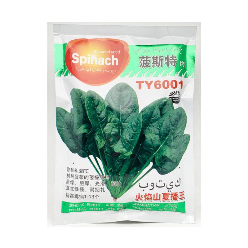 火焰山夏播王菠菜种子耐热半圆叶直立红根易捆扎抗热菠菜种