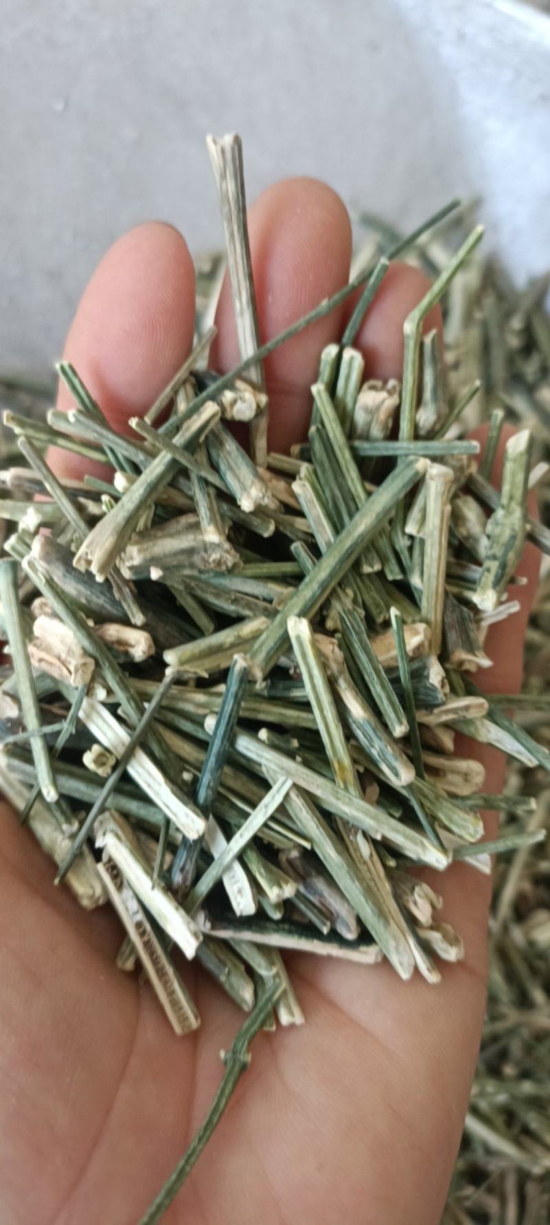 川心连，货干正品，可批可零售，量大从优货源充足，大货供应