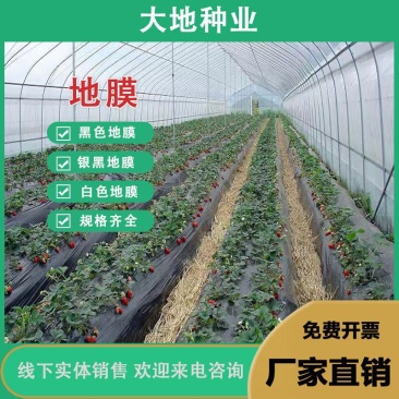 黑地膜，白地膜，银黑地膜保温保湿塑料膜果园蔬菜农用膜
