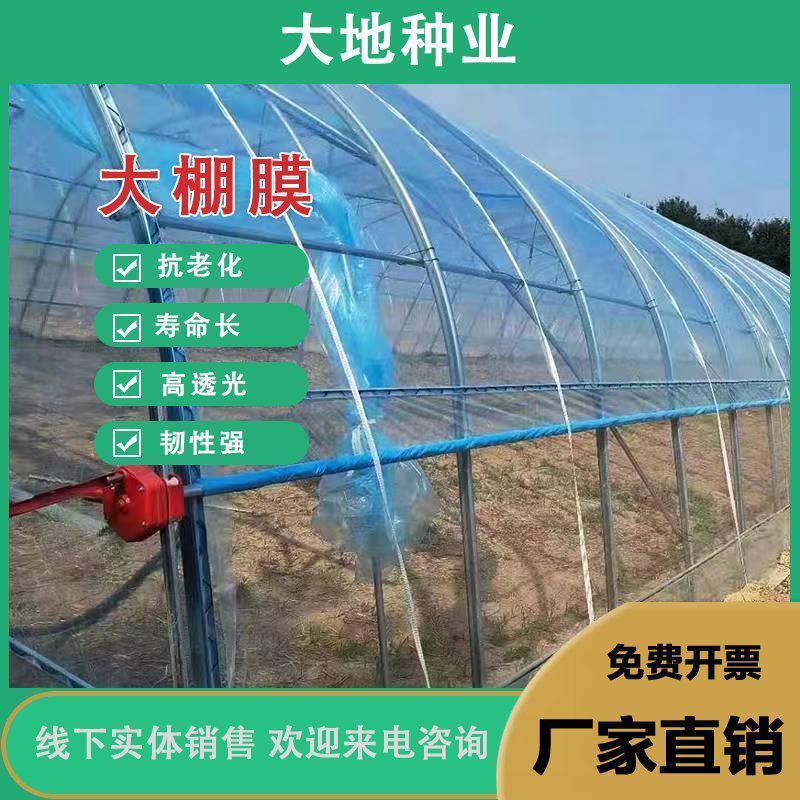 定制大棚膜PO无滴膜加厚透明抗老化塑料薄膜批发蔬菜大棚