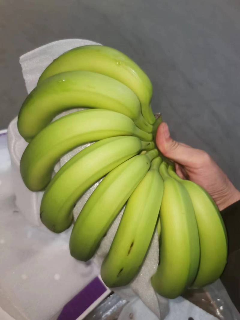 香蕉一手货源产地直发质量保证价格便宜可发全国有需要的联系