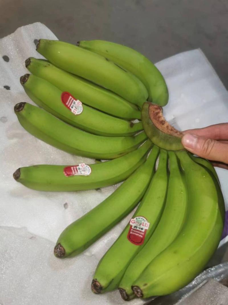 香蕉一手货源产地直发质量保证价格便宜可发全国有需要的联系